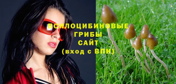 mix Аркадак